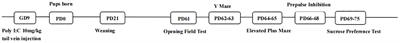 Maternal immune activation induces sex-dependent behavioral differences in a rat model of schizophrenia